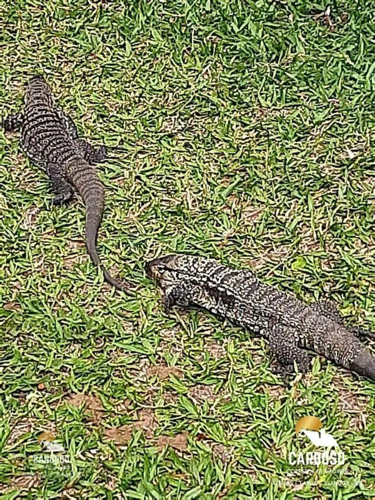 Sítio, 6 hectares - Foto 18