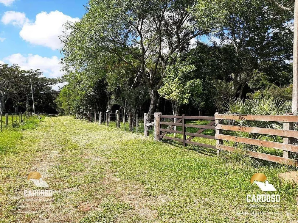 Sítio, 6 hectares - Foto 19