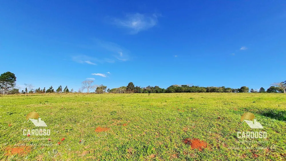 Sítio, 12 hectares - Foto 4