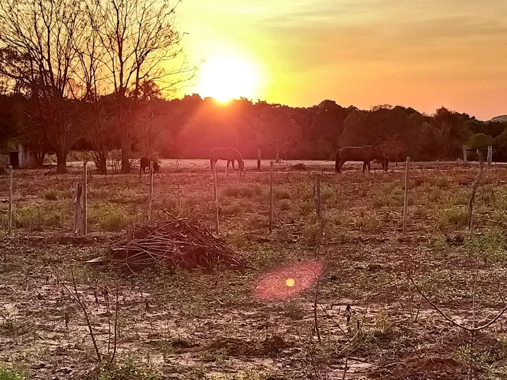 Sítio, 6 quartos, 2 hectares - Foto 16