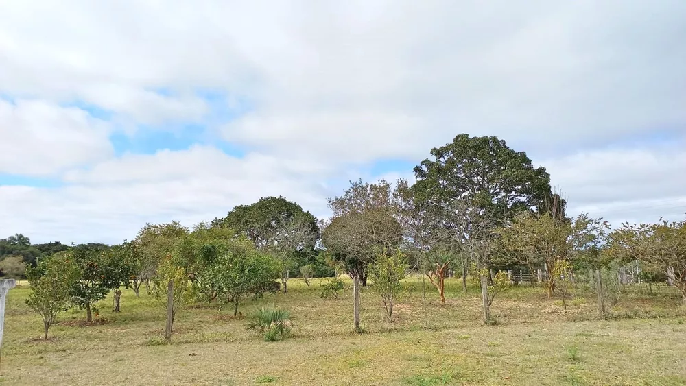 Sítio, 6 quartos, 2 hectares - Foto 14