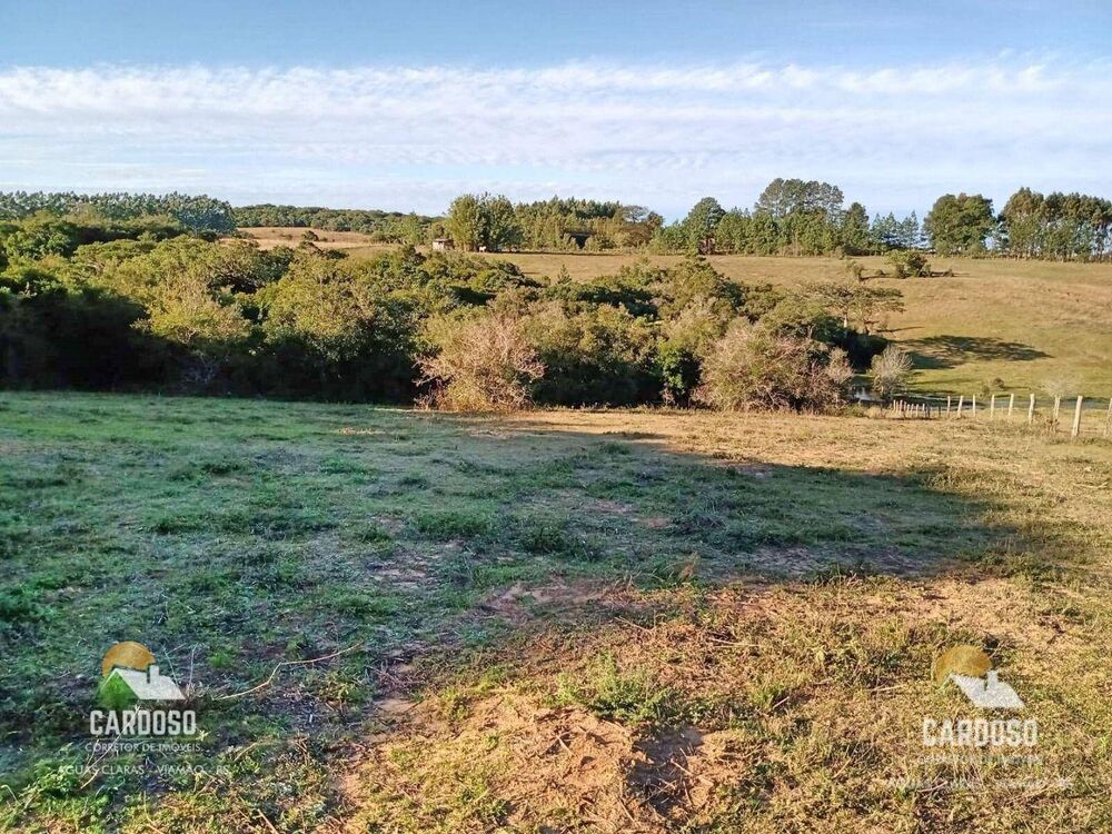 Sítio, 6 hectares - Foto 7