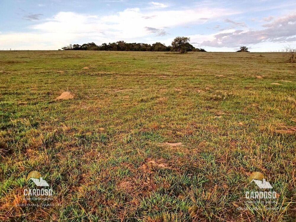 Sítio, 6 hectares - Foto 4