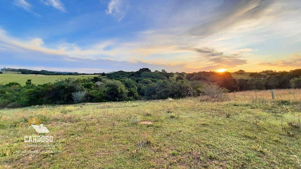 Sítio, 6 hectares - Foto 5