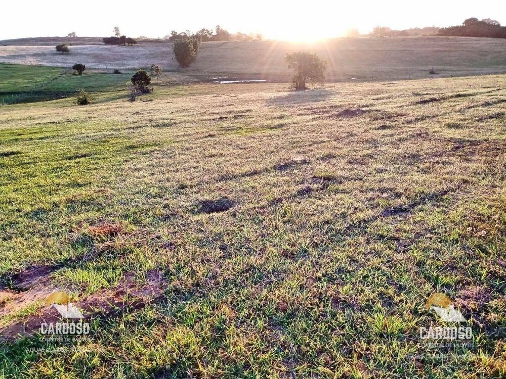 Sítio, 6 hectares - Foto 1