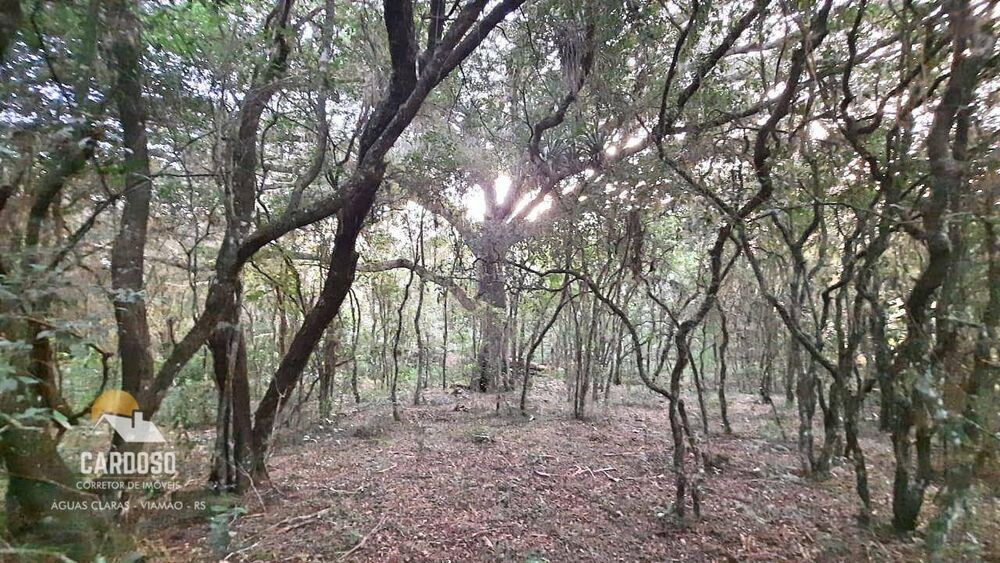 Sítio, 6 hectares - Foto 6