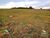 Sítio, 6 hectares - Foto 4