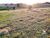 Sítio, 6 hectares - Foto 1