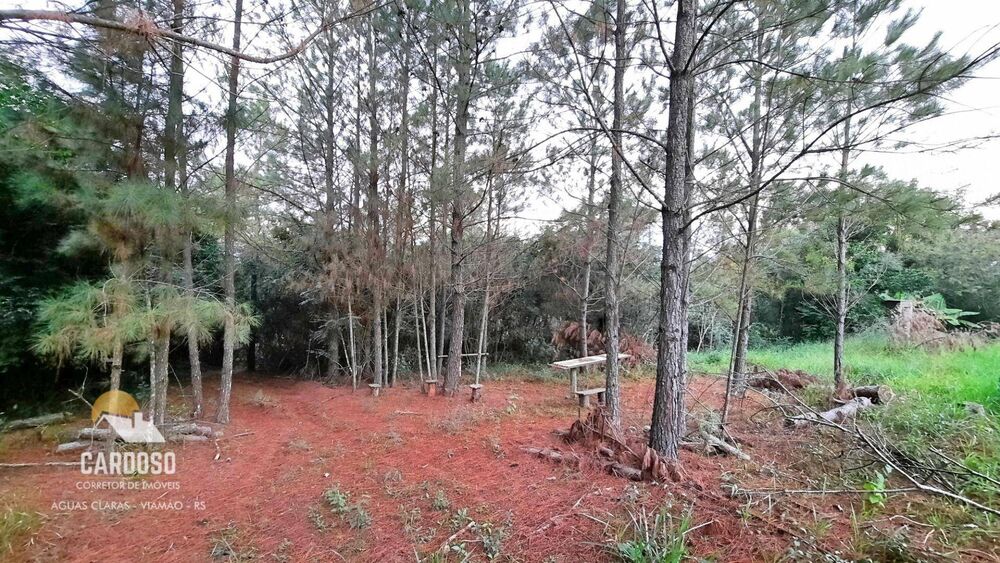 Sítio, 4 hectares - Foto 4