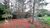 Sítio, 4 hectares - Foto 4