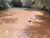 Fazenda, 22 hectares - Foto 3
