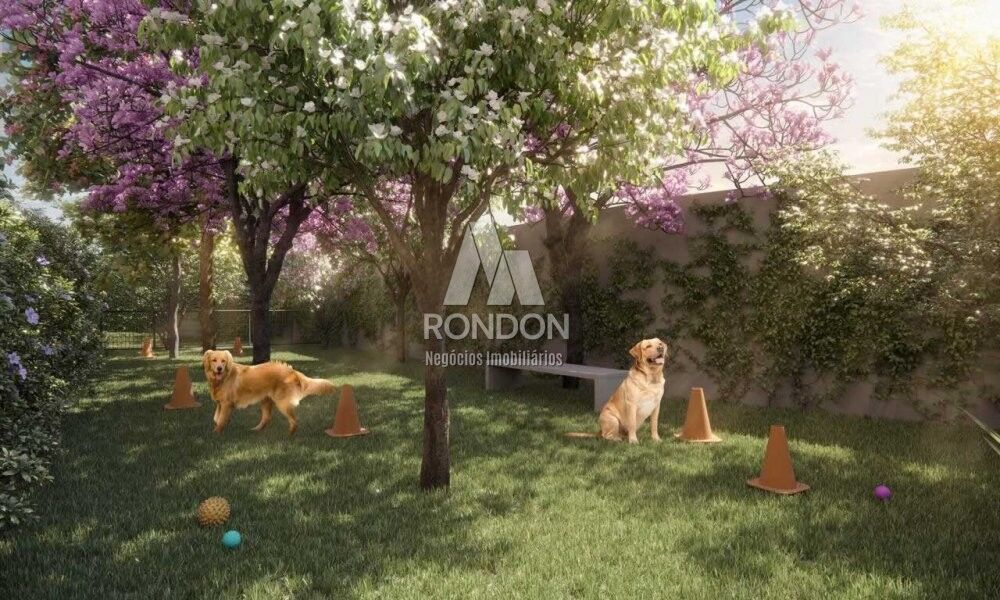 Apartamento, 1 quarto, 24 m² - Foto 2