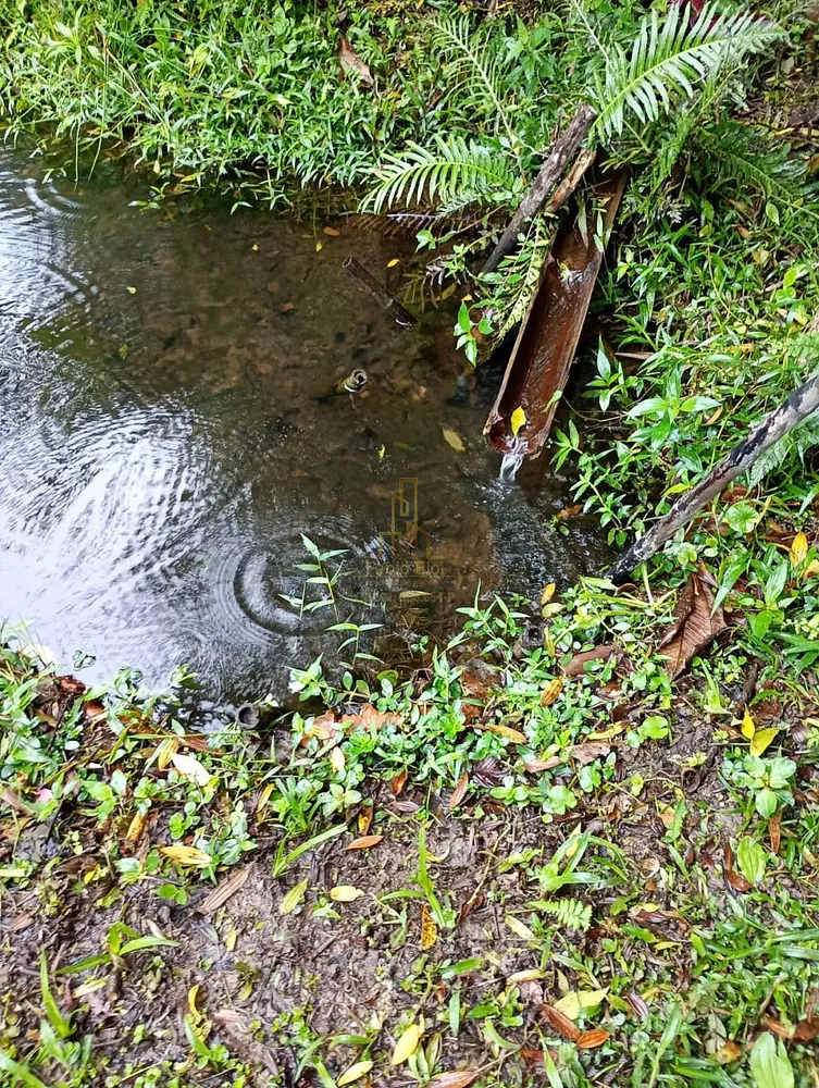 Sítio, 8 quartos, 5 hectares - Foto 4
