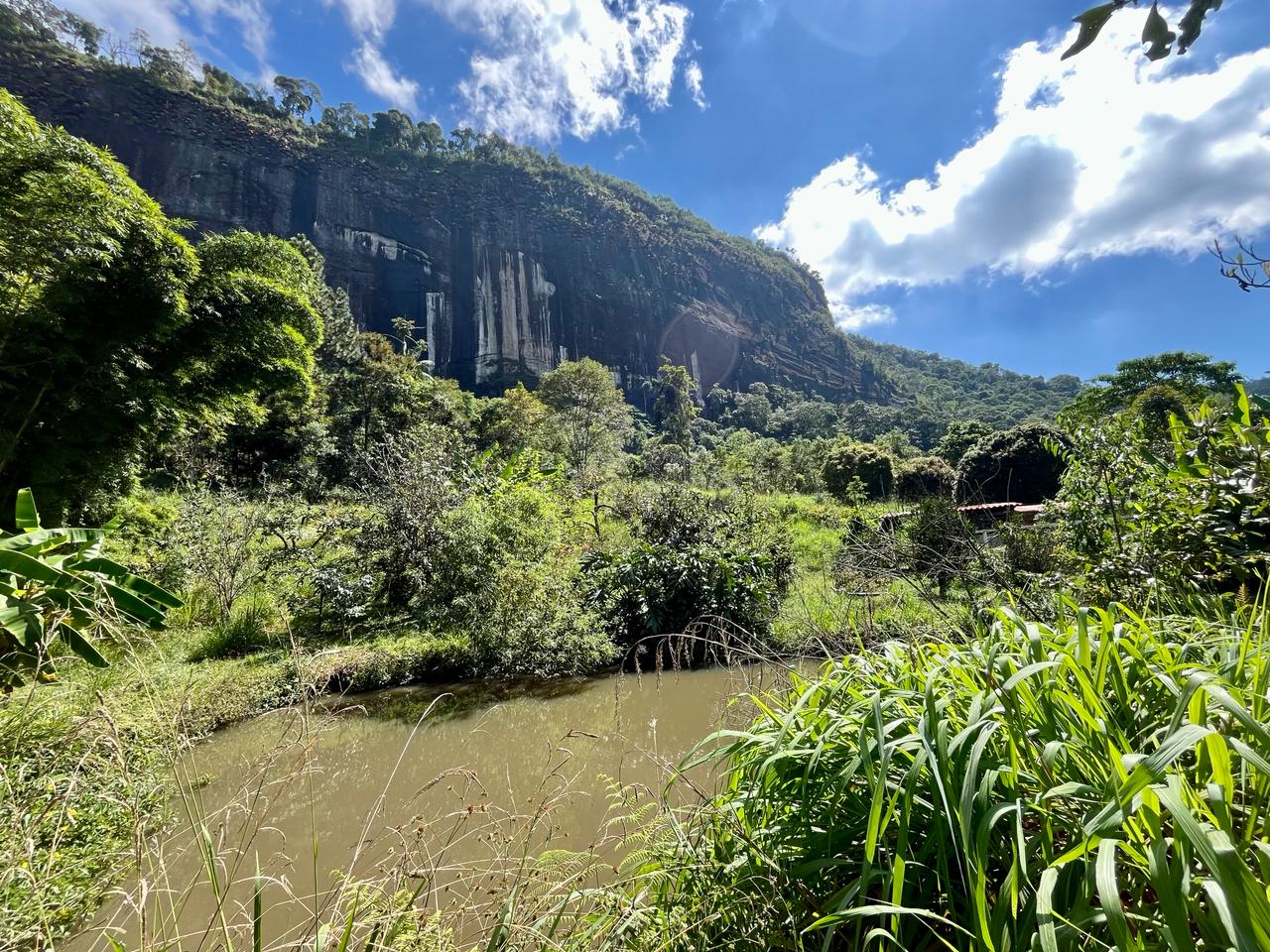 Sítio à venda com 4 quartos, 15000m² - Foto 7