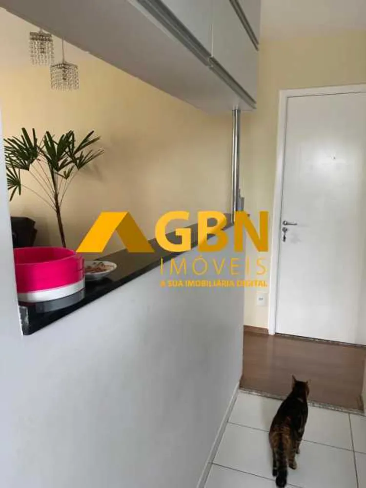 Apartamento, 3 quartos, 66 m² - Foto 25