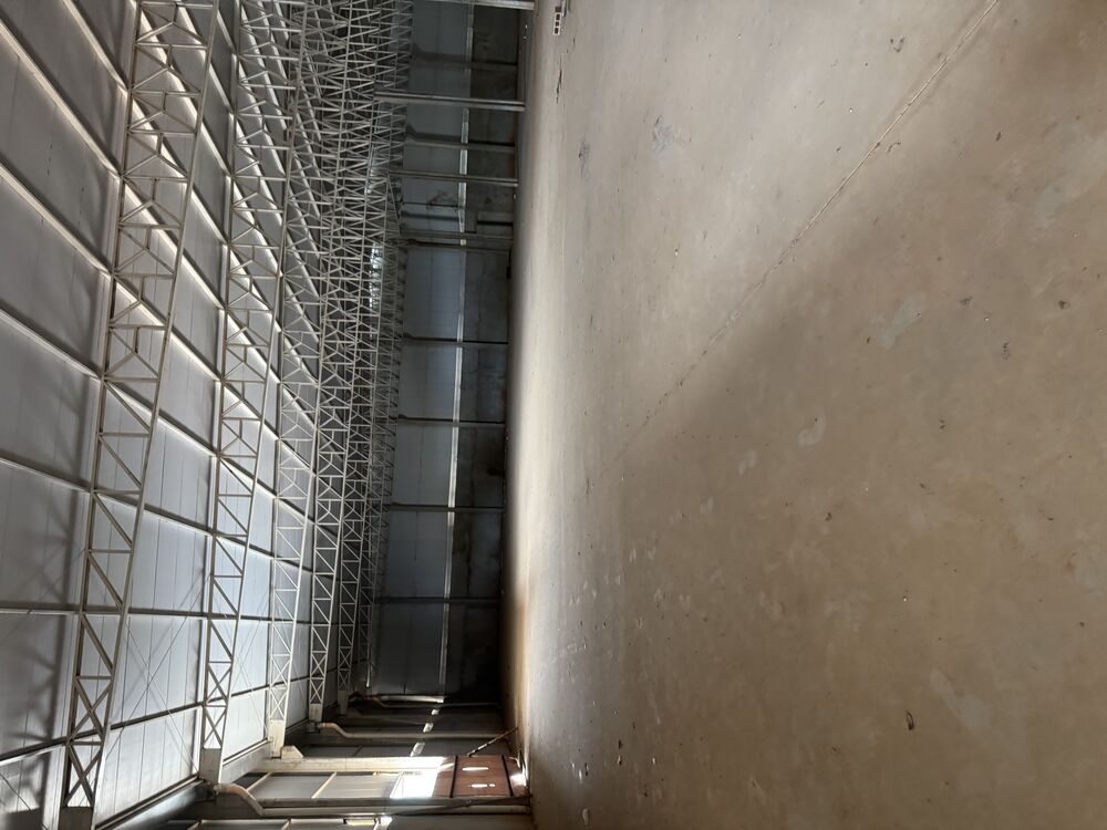 Depósito-Galpão, 1804 m² - Foto 7