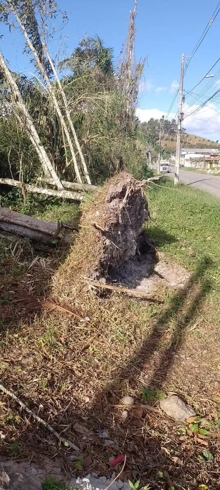 Terreno, 490 m² - Foto 5