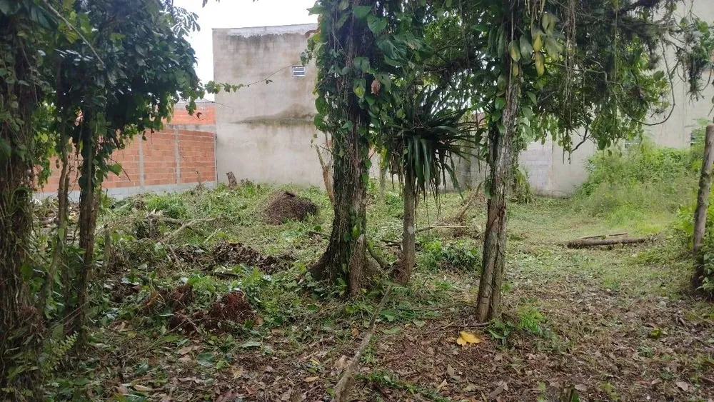 Terreno, 490 m² - Foto 4