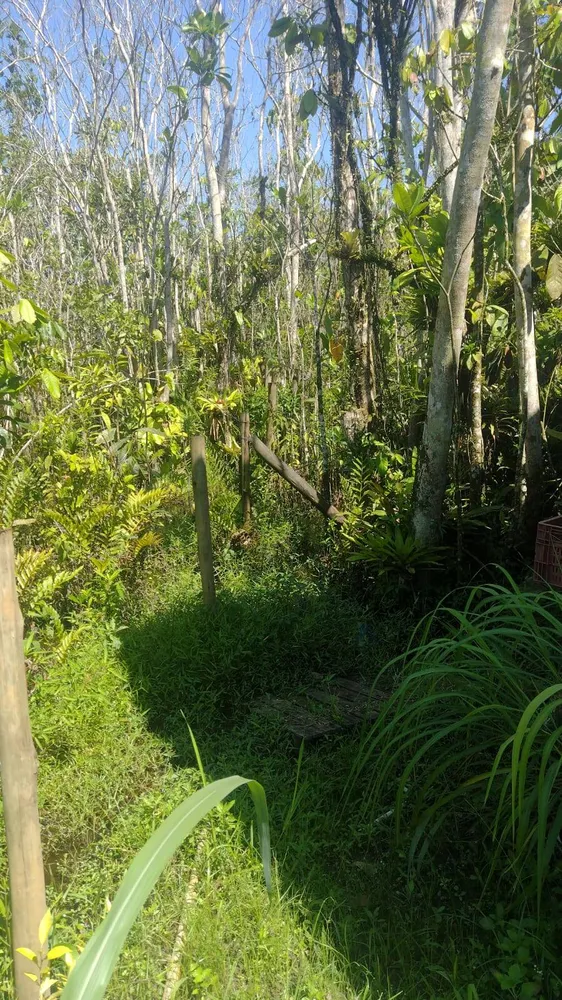 Terreno, 360 m² - Foto 8