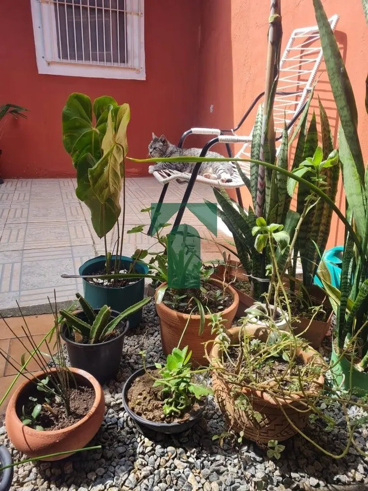 Casa, 2 quartos, 193 m² - Foto 8