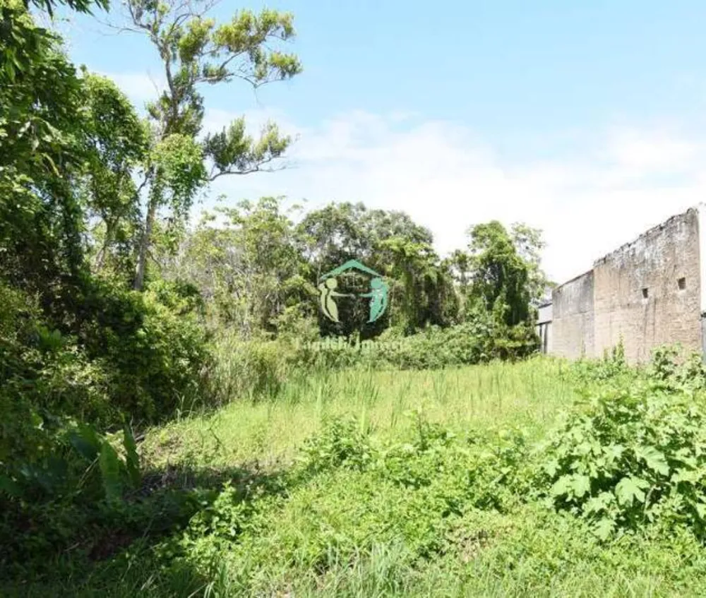 Terreno, 360 m² - Foto 4