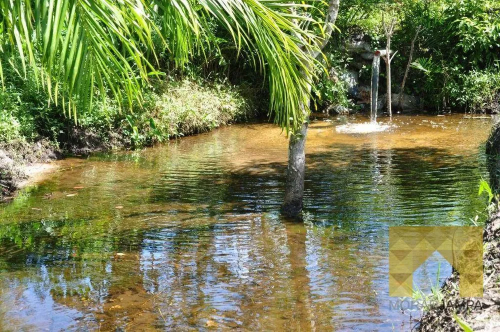 Sítio, 3 quartos, 16 hectares - Foto 4