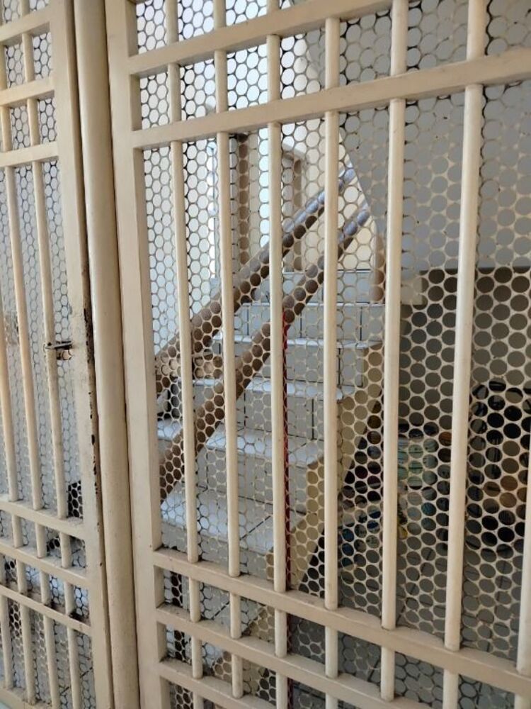 Casa, 5 quartos, 200 m² - Foto 4