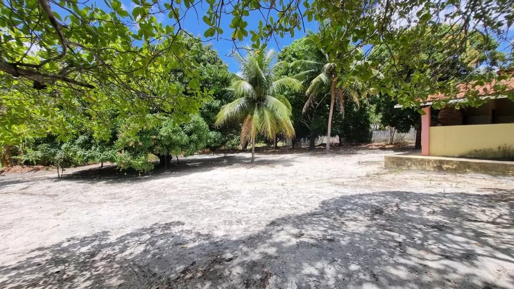 Terreno, 5 hectares - Foto 2