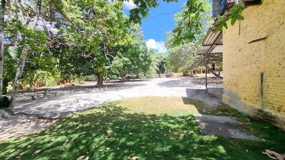 Terreno, 5 hectares - Foto 4