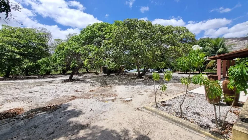 Terreno, 5 hectares - Foto 8