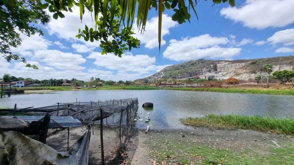 Terreno, 5 hectares - Foto 6