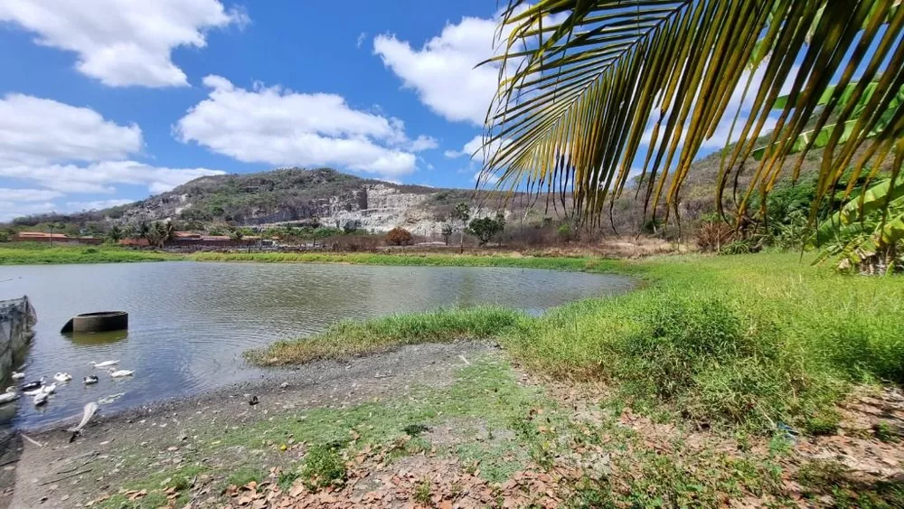 Terreno, 5 hectares - Foto 7