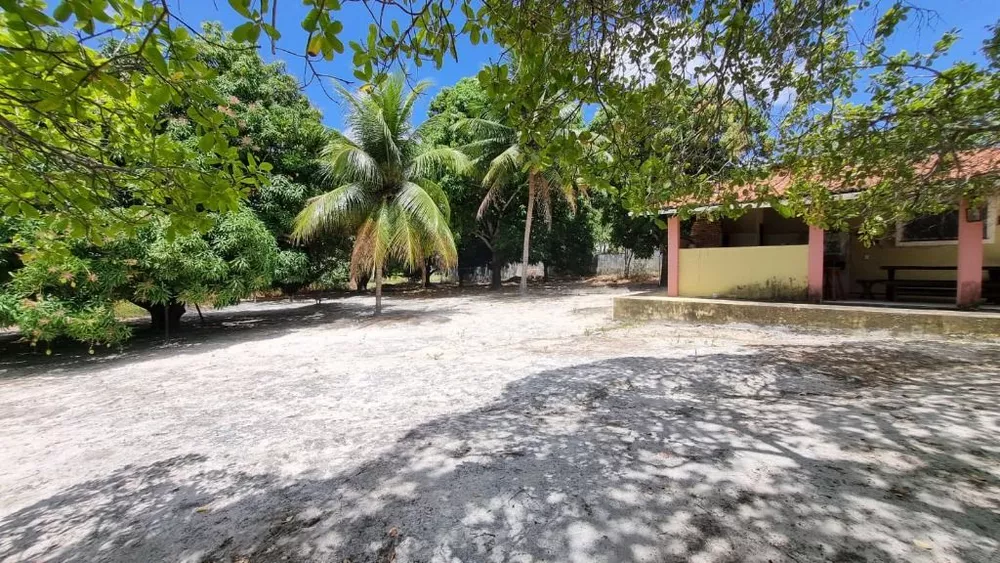 Terreno, 5 hectares - Foto 3