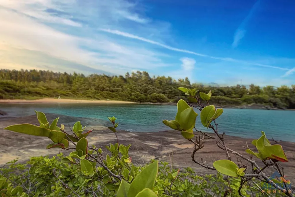 Terreno, 734 m² - Foto 18