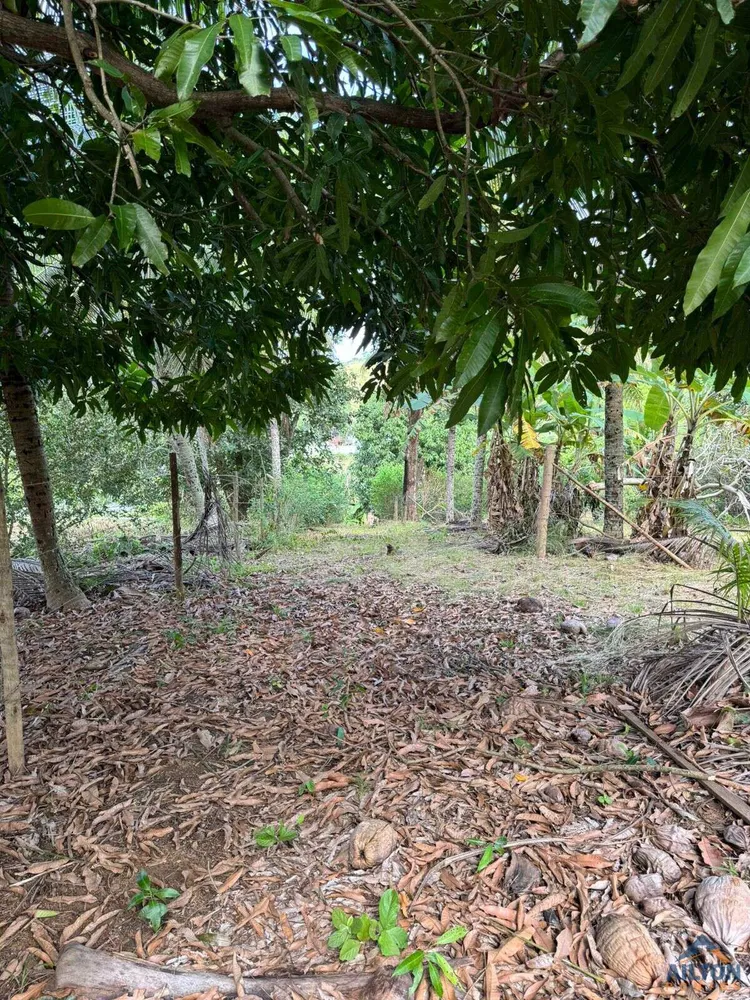 Terreno, 1100 m² - Foto 6