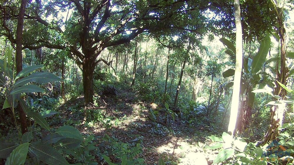 Terreno - Foto 18