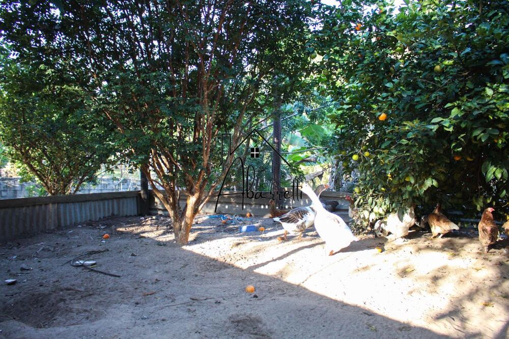 Chácara à venda com 2 quartos, 1650m² - Foto 4