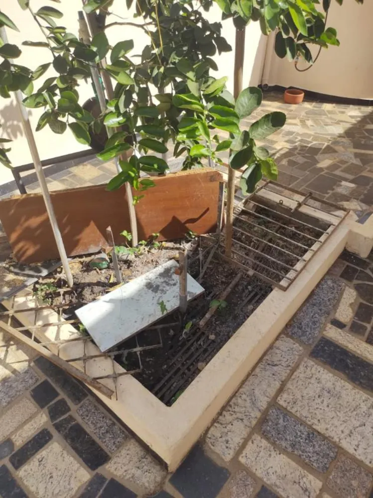 Casa, 4 quartos, 324 m² - Foto 4