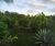 Chácara, 3 quartos, 2 hectares - Foto 4