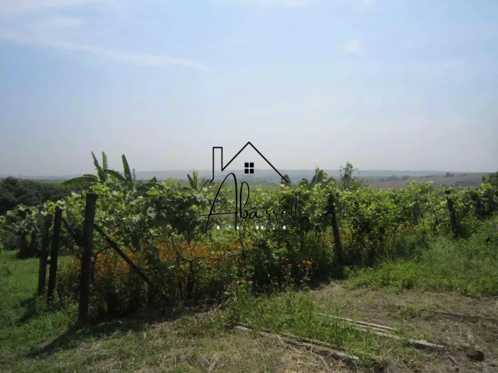 Sítio, 3 quartos, 5 hectares - Foto 3