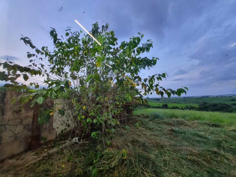Sítio à venda com 2 quartos, 43000m² - Foto 4