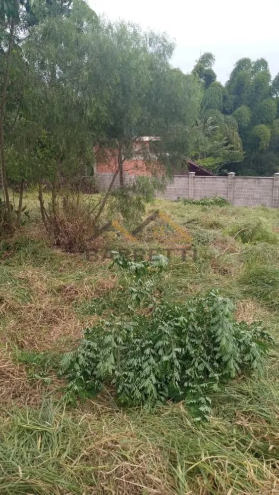 Terreno, 1500 m² - Foto 4