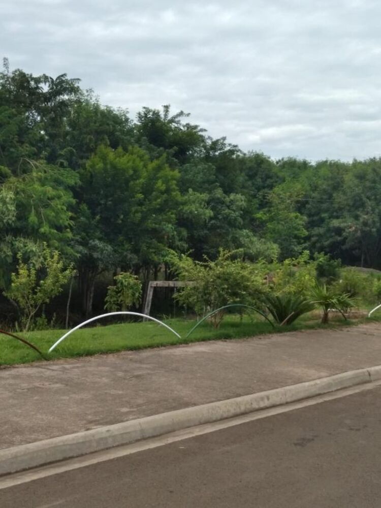 Terreno, 250 m² - Foto 3