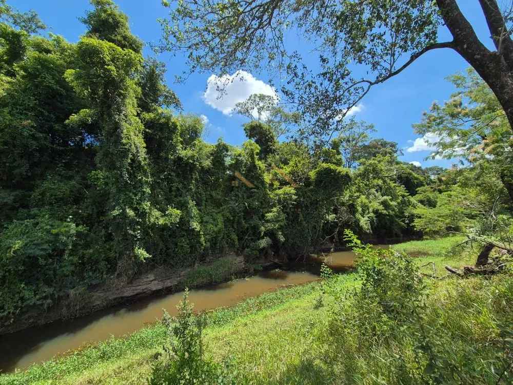 Sítio, 7 hectares - Foto 4