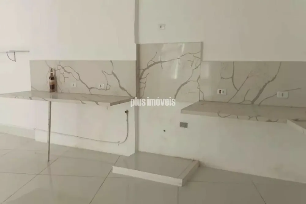 Casa, 4 quartos, 800 m² - Foto 4