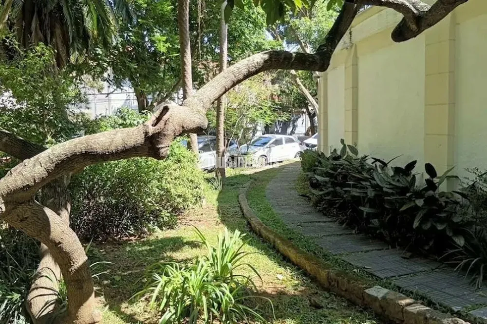 Casa, 4 quartos, 800 m² - Foto 6
