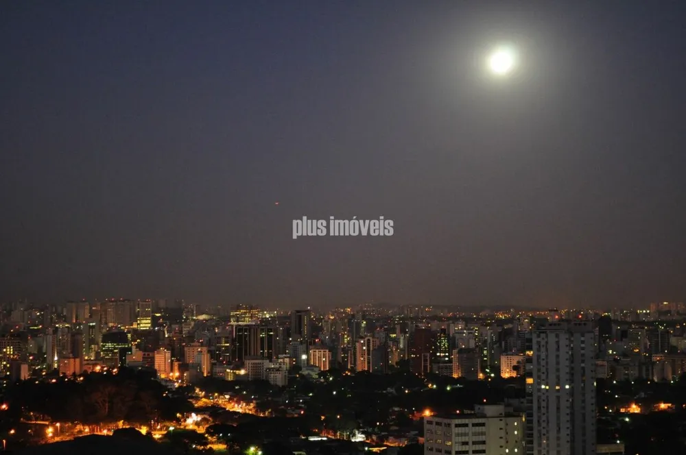 Apartamento, 4 quartos, 275 m² - Foto 3