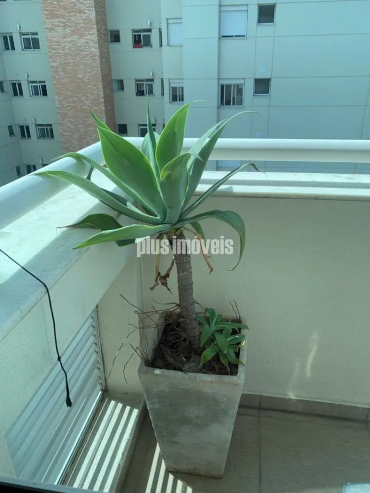 Sala-Conjunto, 110 m² - Foto 7