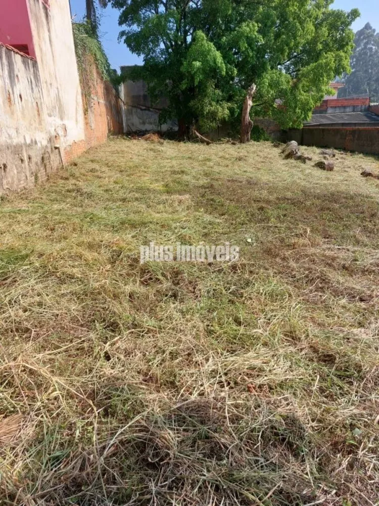 Terreno à venda, 1000 - Foto 2