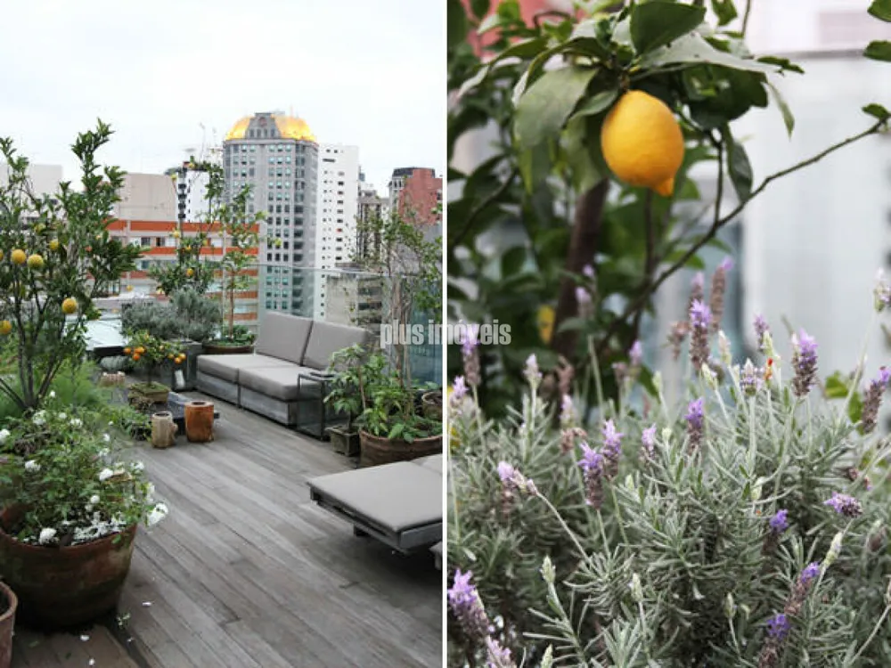 Apartamento, 4 quartos, 390 m² - Foto 1